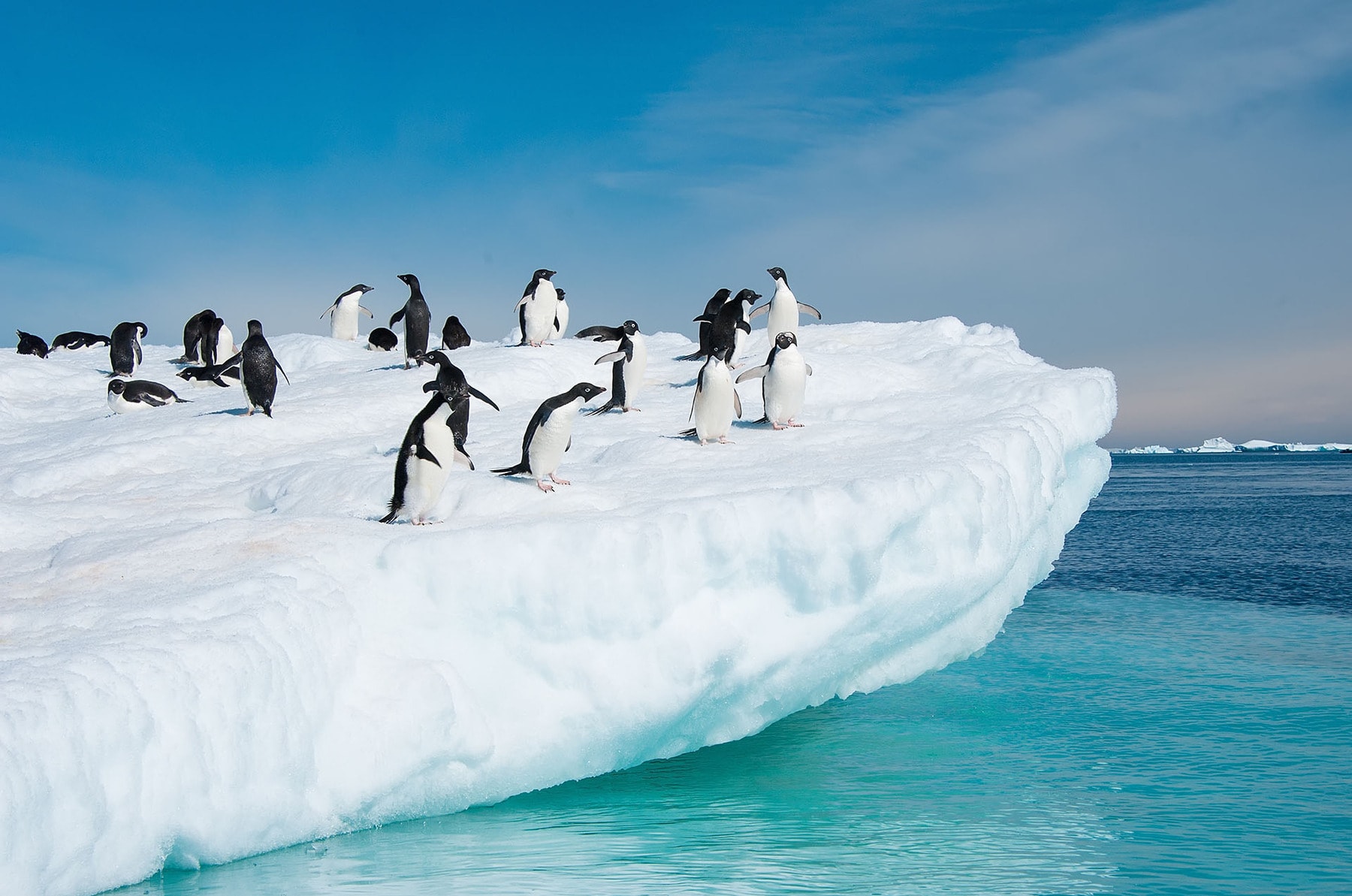 10 Fascinating Facts About Antarctica You Probably Didn’t Know