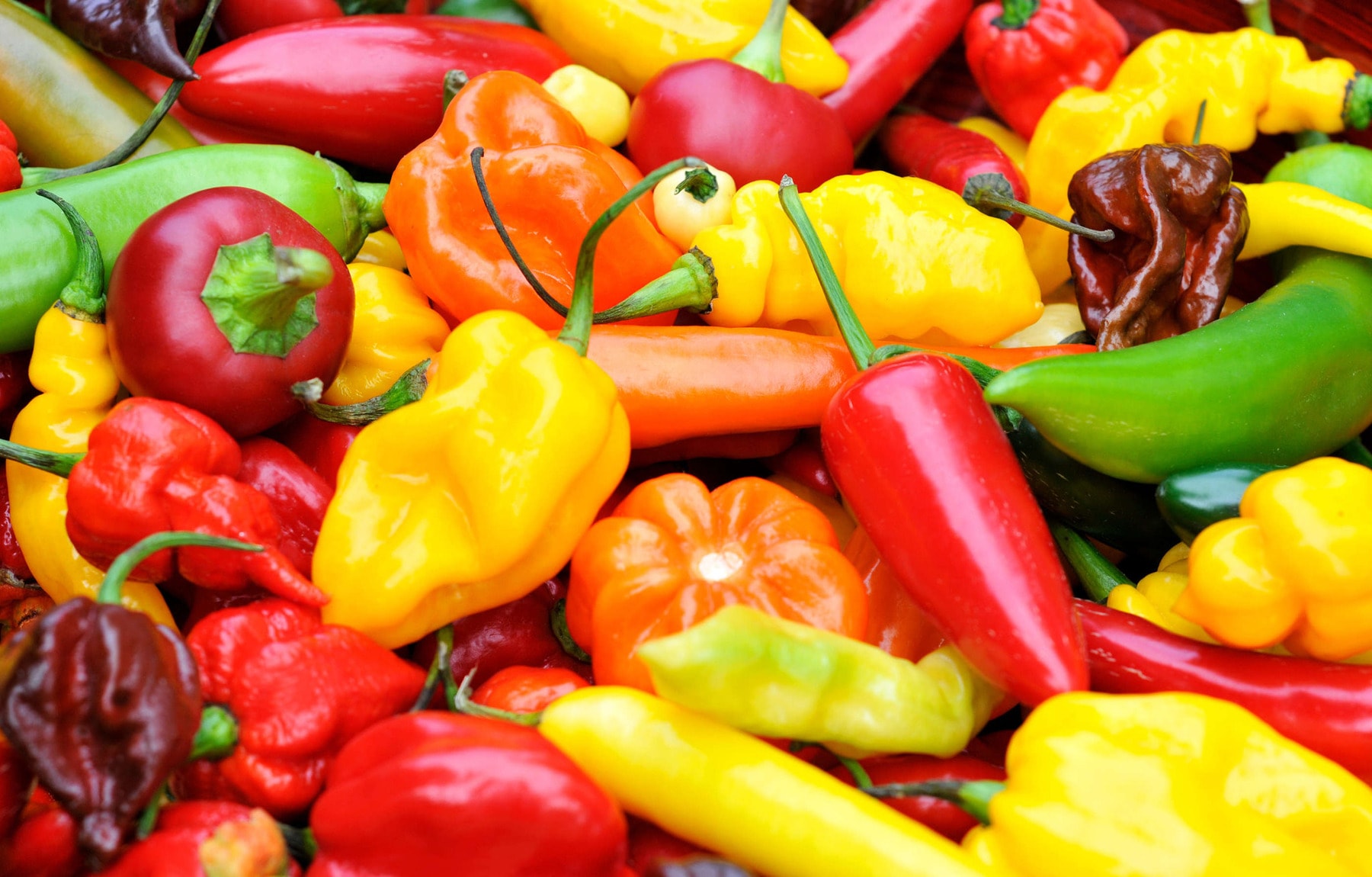 Top 10 Spiciest Peppers in the World: Can You Handle the Heat?